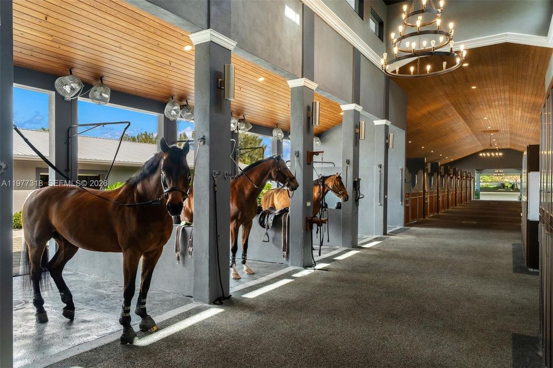 Wash stalls.