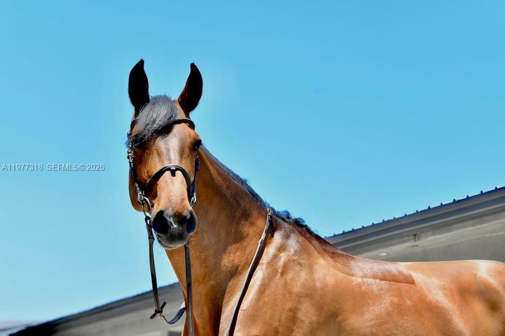 Courtesy of Talda Photography.