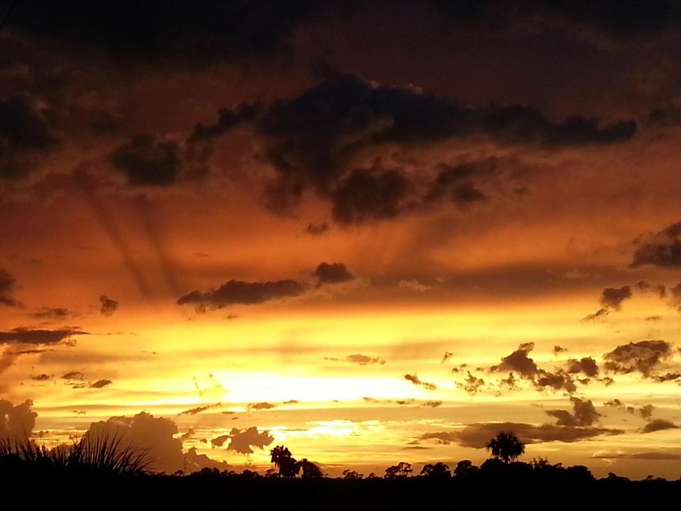 dark sky
