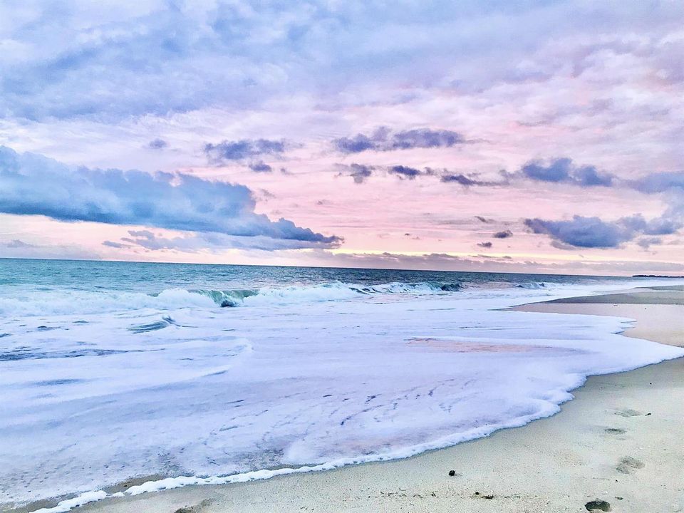 dawn pink ocean