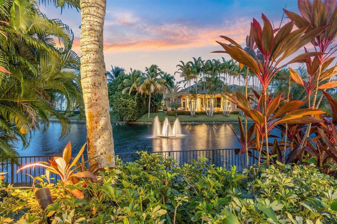Water Views