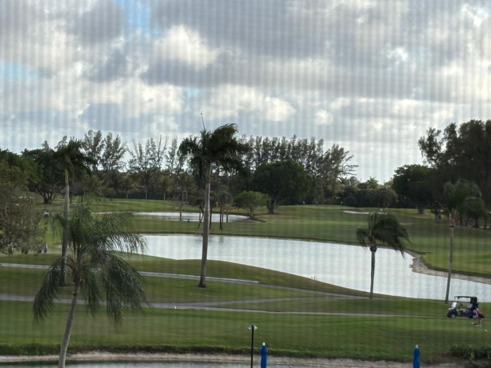 View from Unit