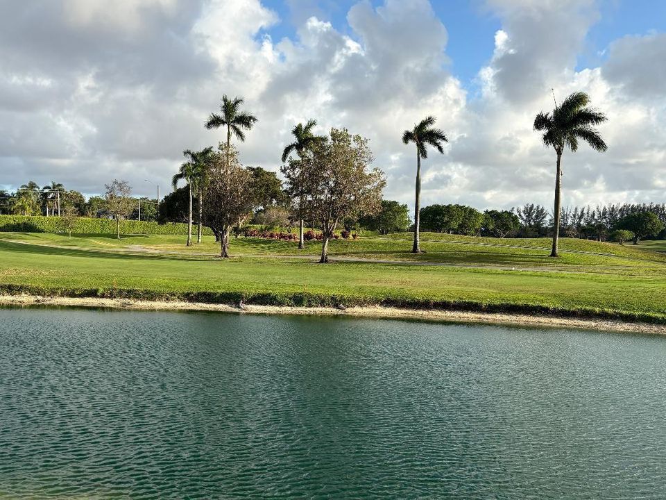 Another Pool View