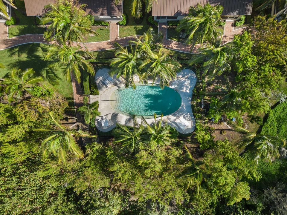 DJI_0337