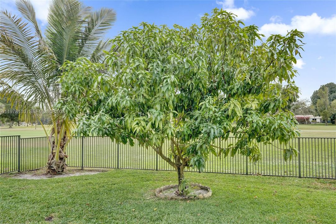 En Venta: $1,052,000 (4 camas, 3 baños, 2994 Pies cuadrados)