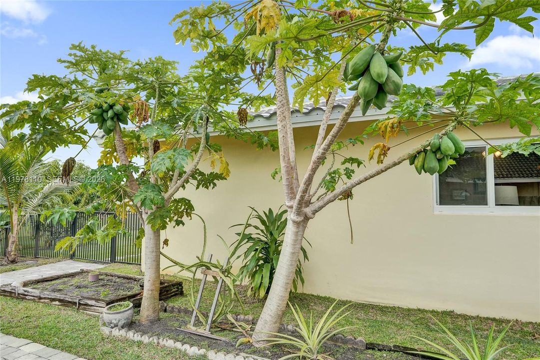 En Venta: $1,052,000 (4 camas, 3 baños, 2994 Pies cuadrados)