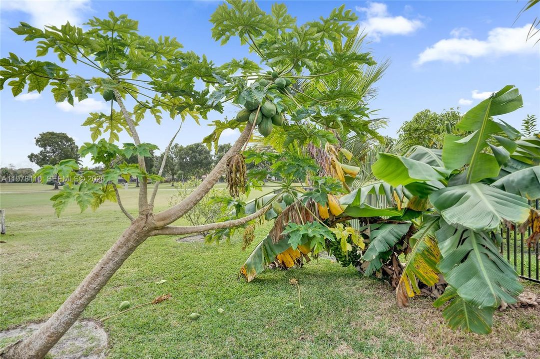 En Venta: $1,052,000 (4 camas, 3 baños, 2994 Pies cuadrados)