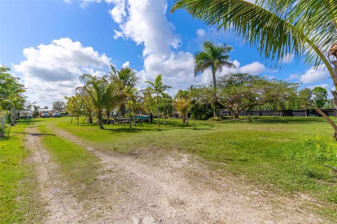 Back Yard