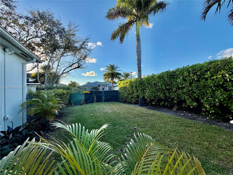Rear yard accessible by a double gate. Space for a boat/RV
