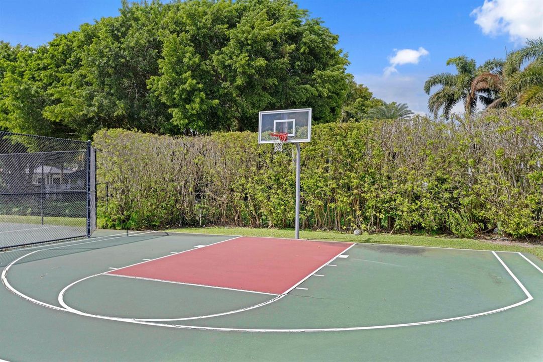 Basketball Court