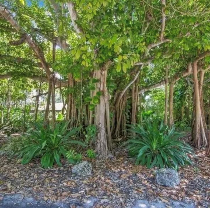 En Renta: $65,000 (3 camas, 3 baños, 5128 Pies cuadrados)