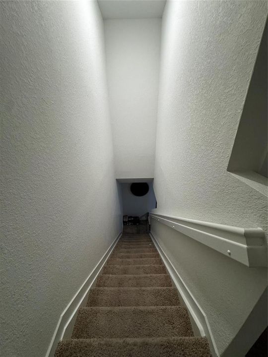 Photo 51