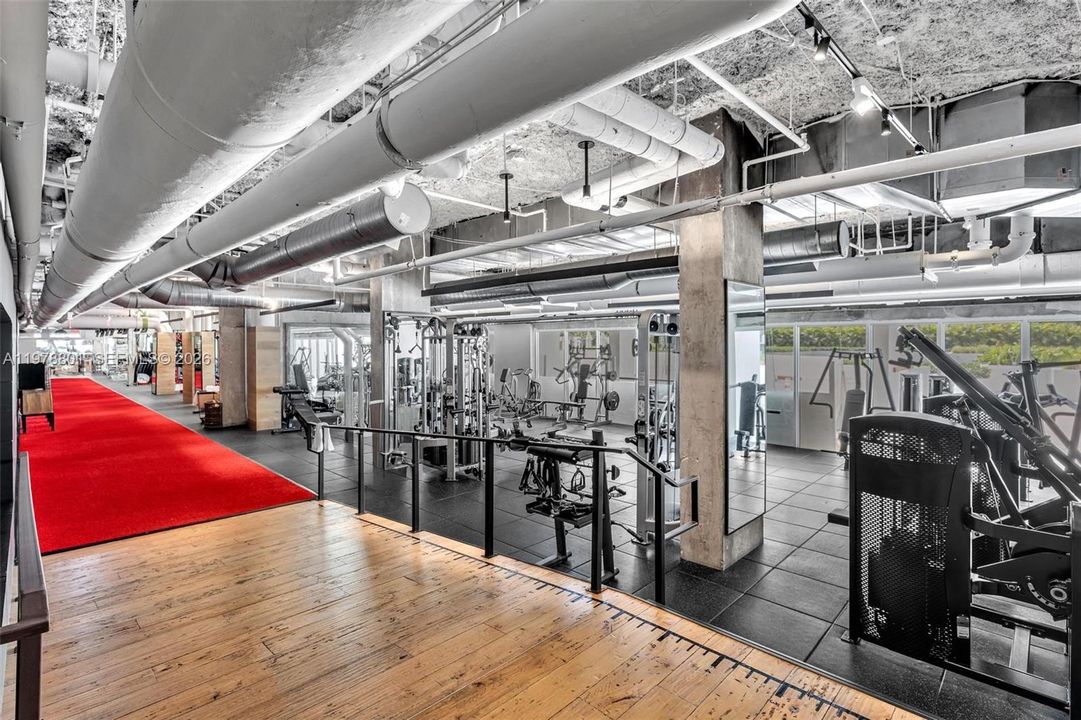 Anatomy Gym on-site
