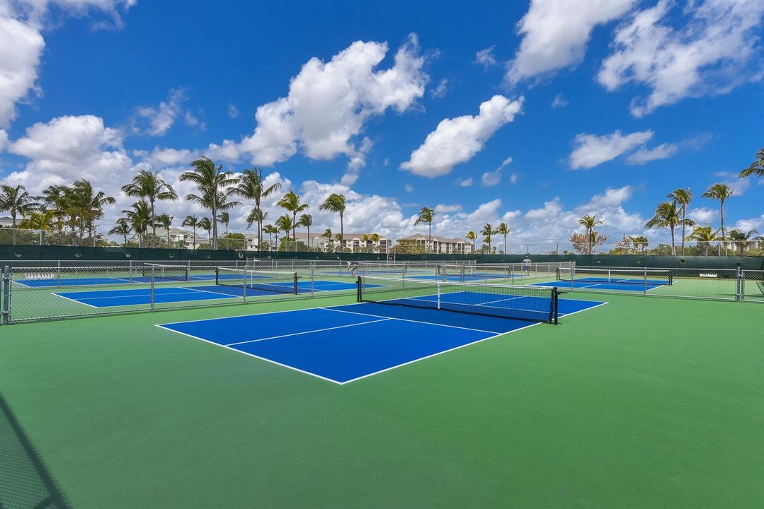 Pickle Ball