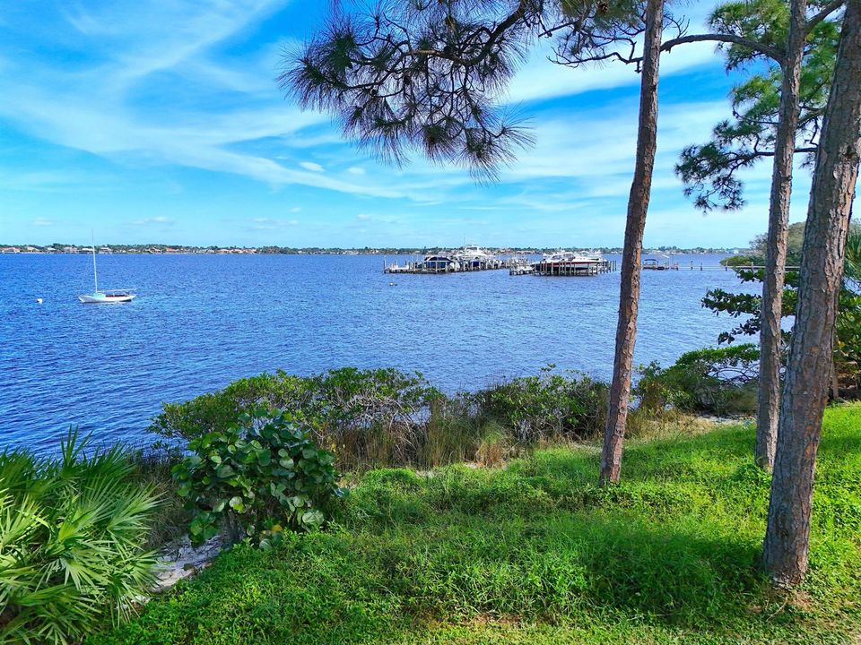 Center Dock from Trail