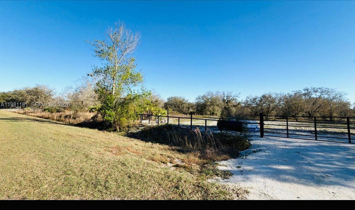 For Sale: $49,999 (1.25 acres)
