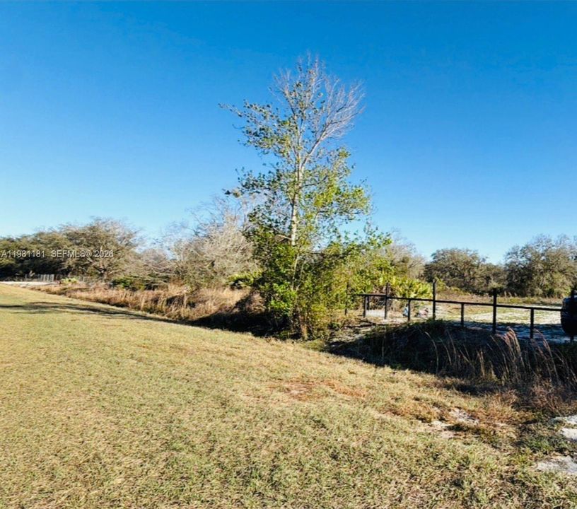For Sale: $49,999 (1.25 acres)