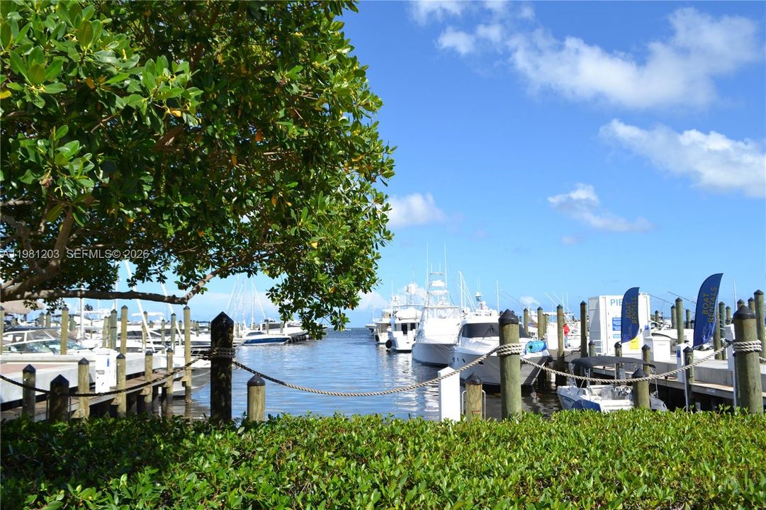 Nearby Biscayne Bay, Marina plus parks and recreation.
