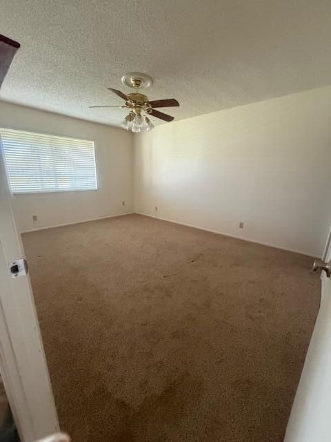 ceiling fan in master