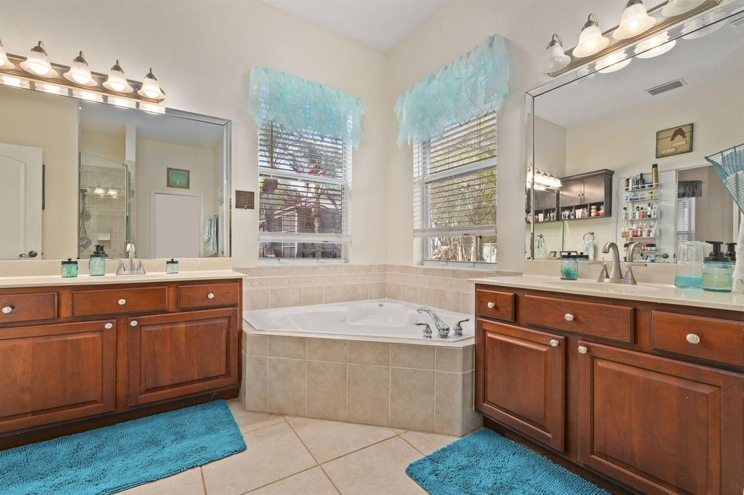 Owner's Bathroom