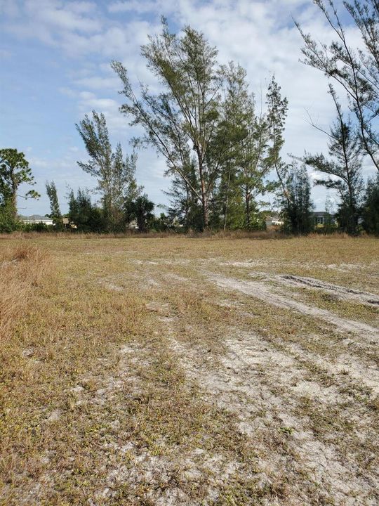 Lot Cape Coral 5