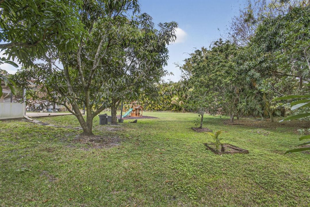 Side Yard