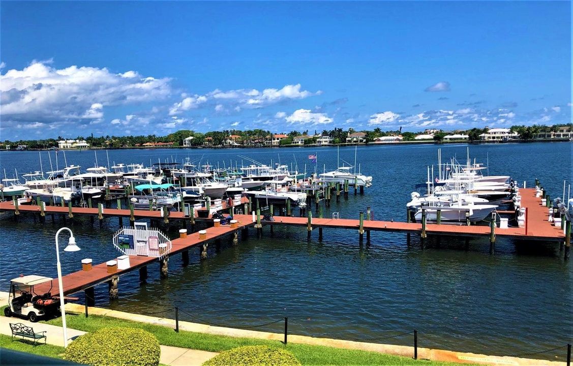 yacht club marina 2