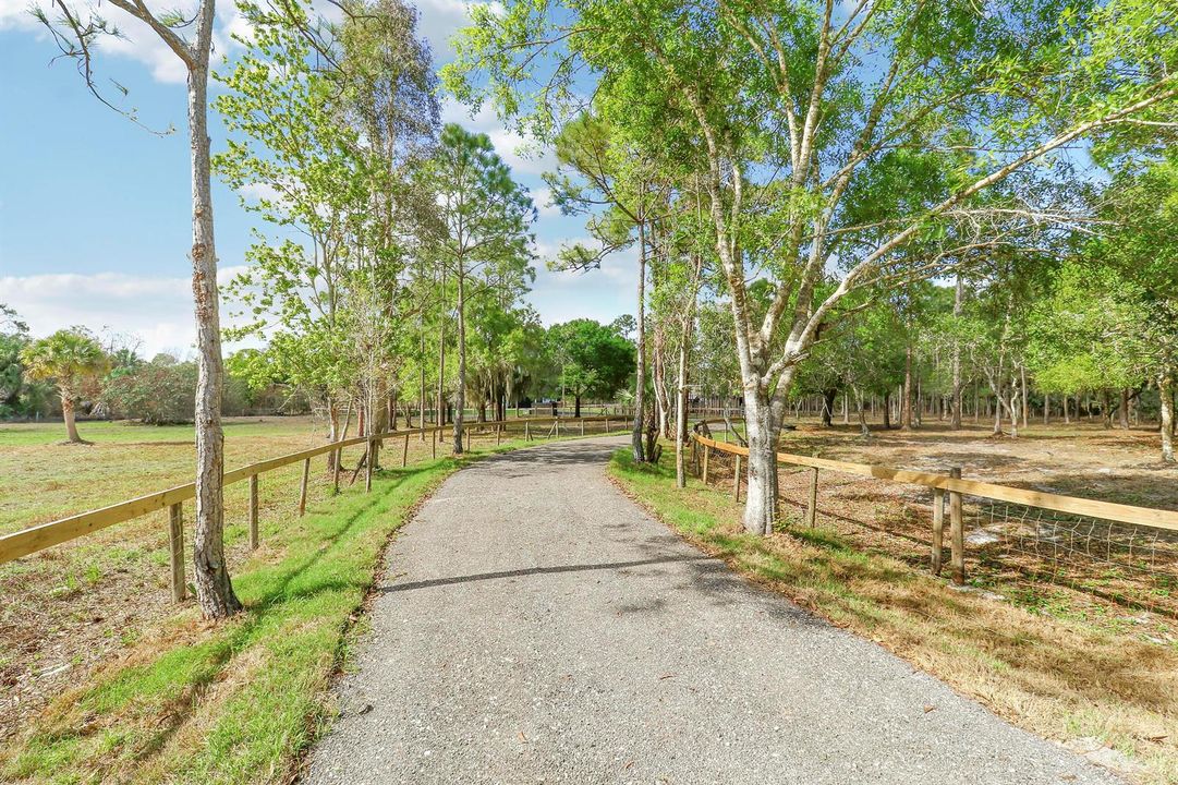 driveway approaching house
