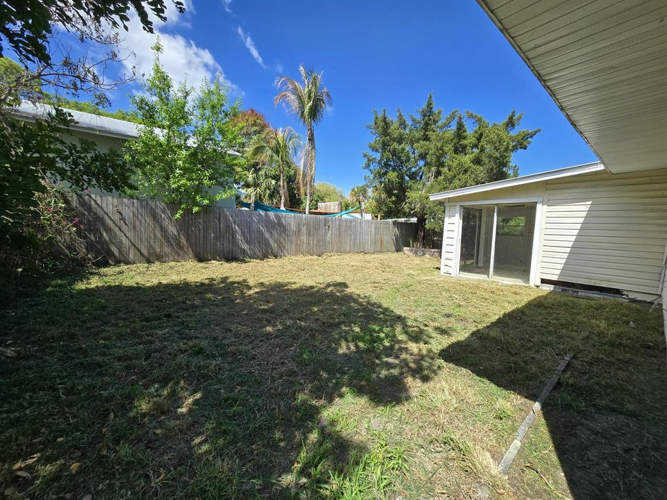 Backyard