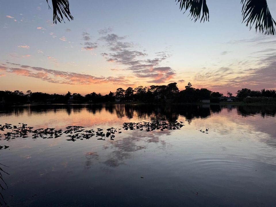 Stunning Sunsets