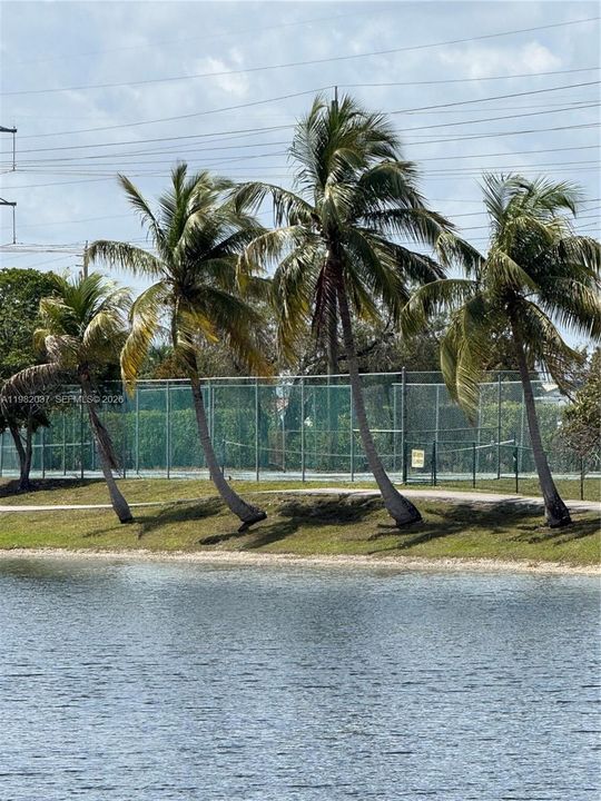 Tennis courts