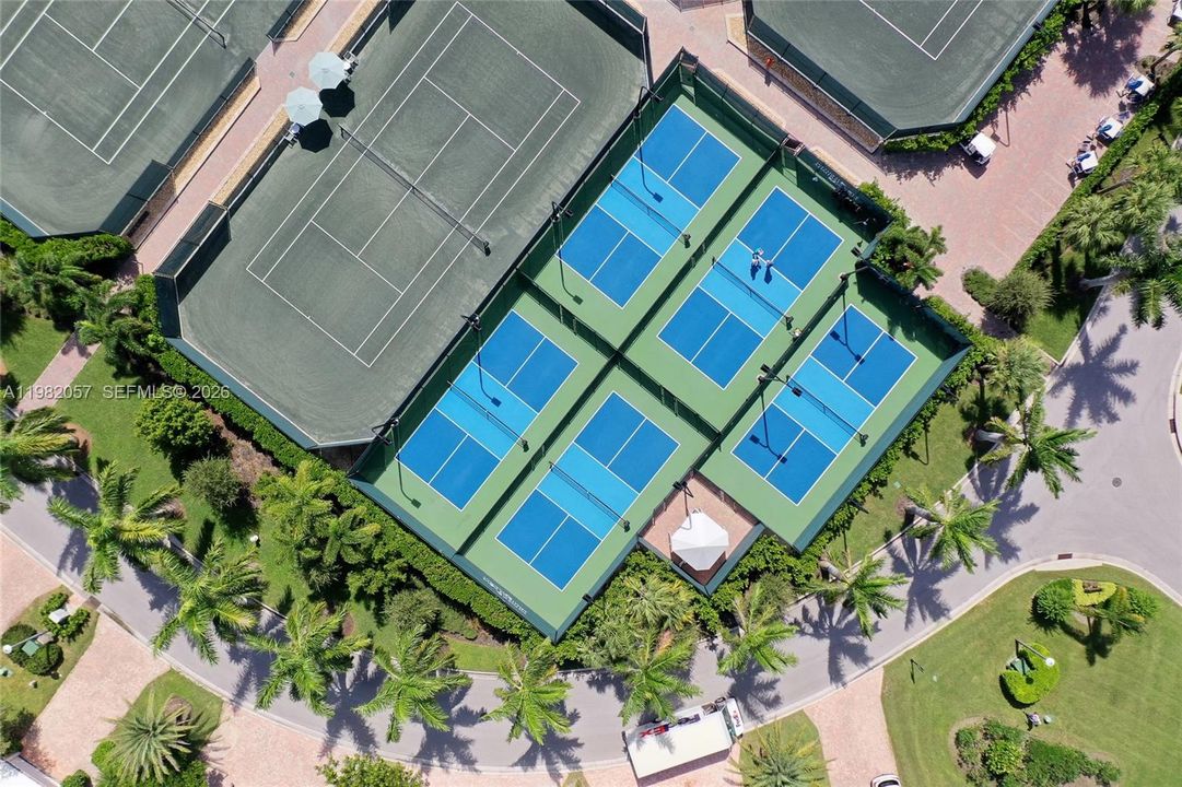 Club Pickleball