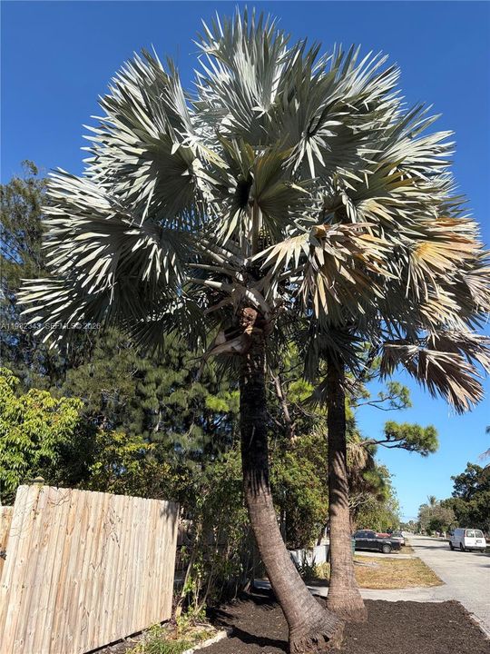 For Sale: $885,000 (0 beds, 0 baths, 1990 Square Feet)