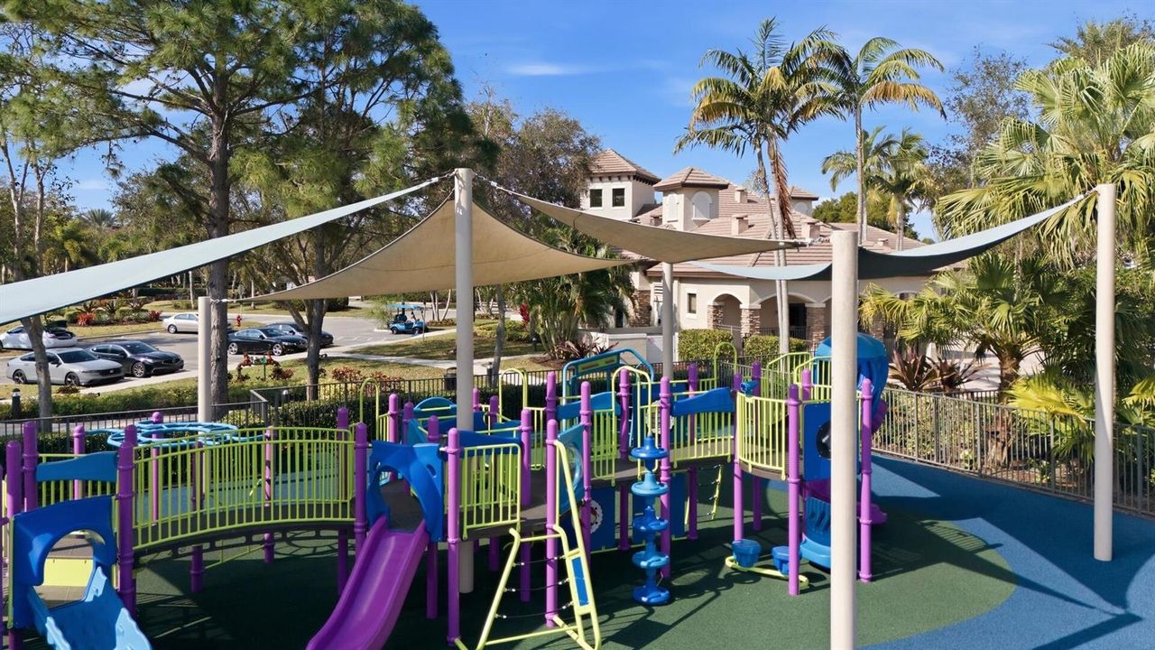 Play Area