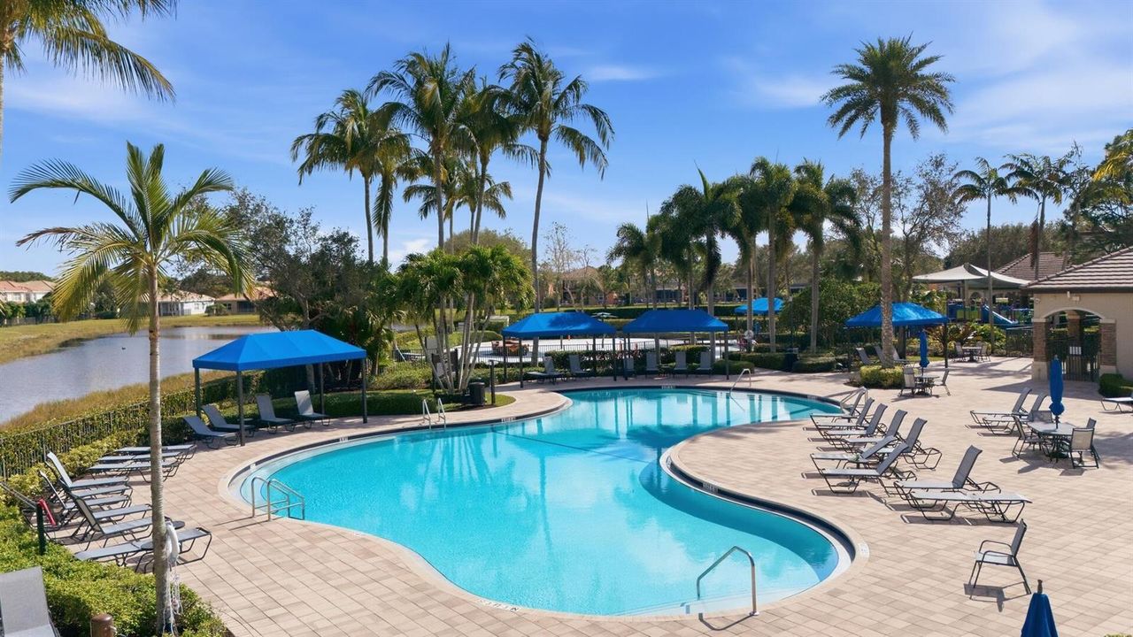 Resort Style Pool