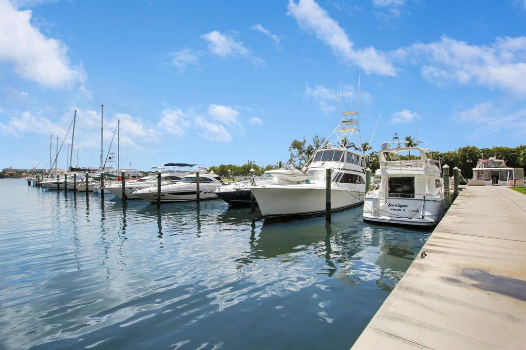 Marina/Intracoastal