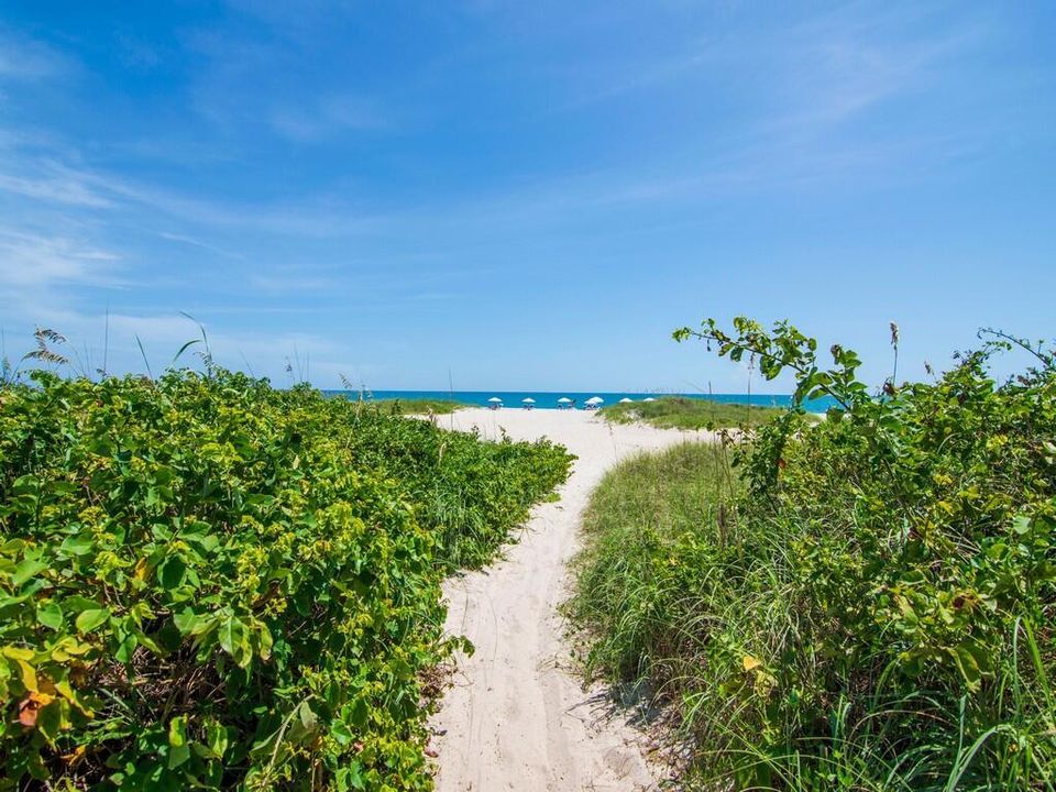 Public Beach Access