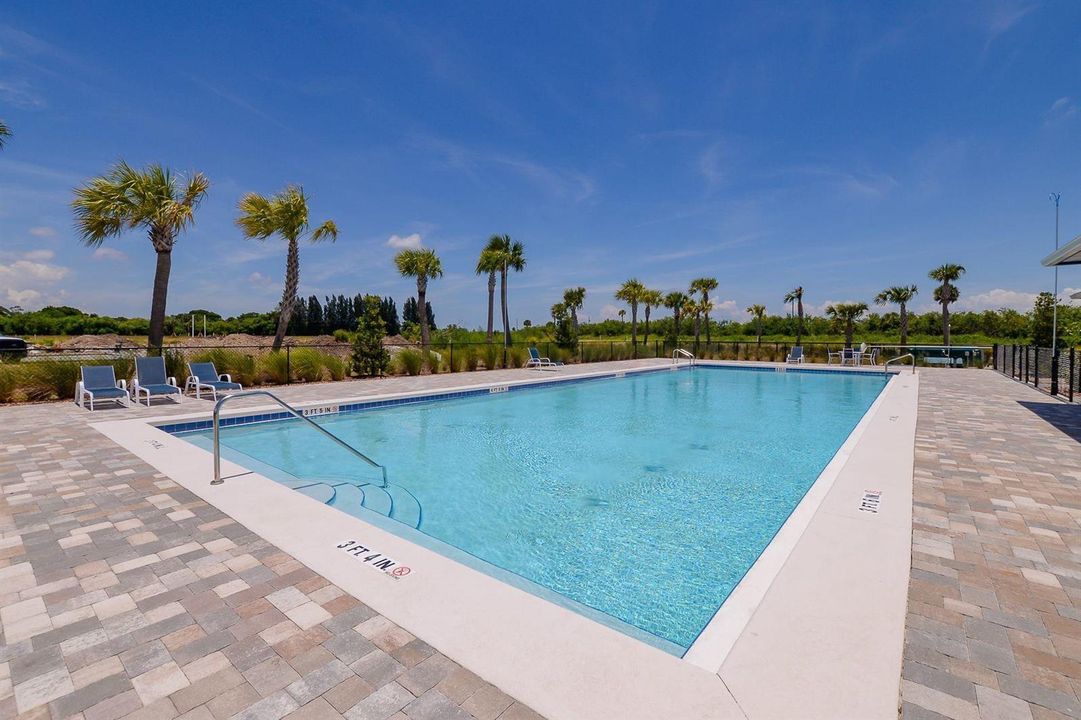 Resort Style Pool