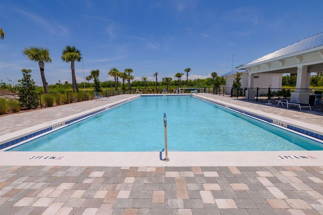 Resort Style Pool