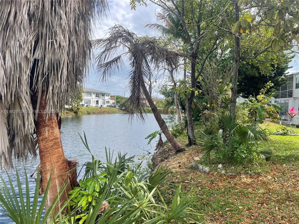 En Venta: $120,000 (1 camas, 1 baños, 692 Pies cuadrados)