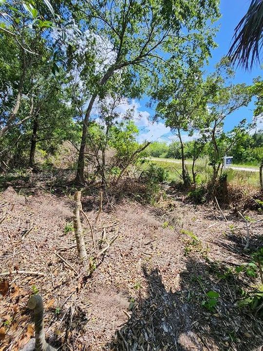 For Sale: $28,500 (1.00 acres)