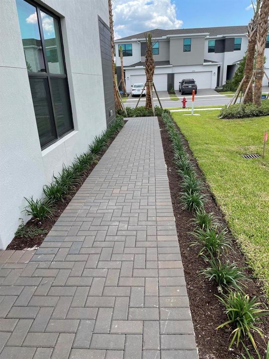 IMG_6865