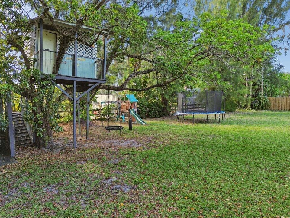 Tree House