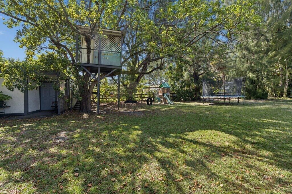 Tree House