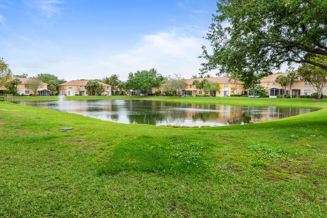 Lake view