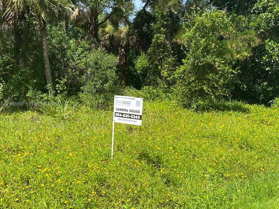 Недавно продано: $58,500 (0.27 acres)