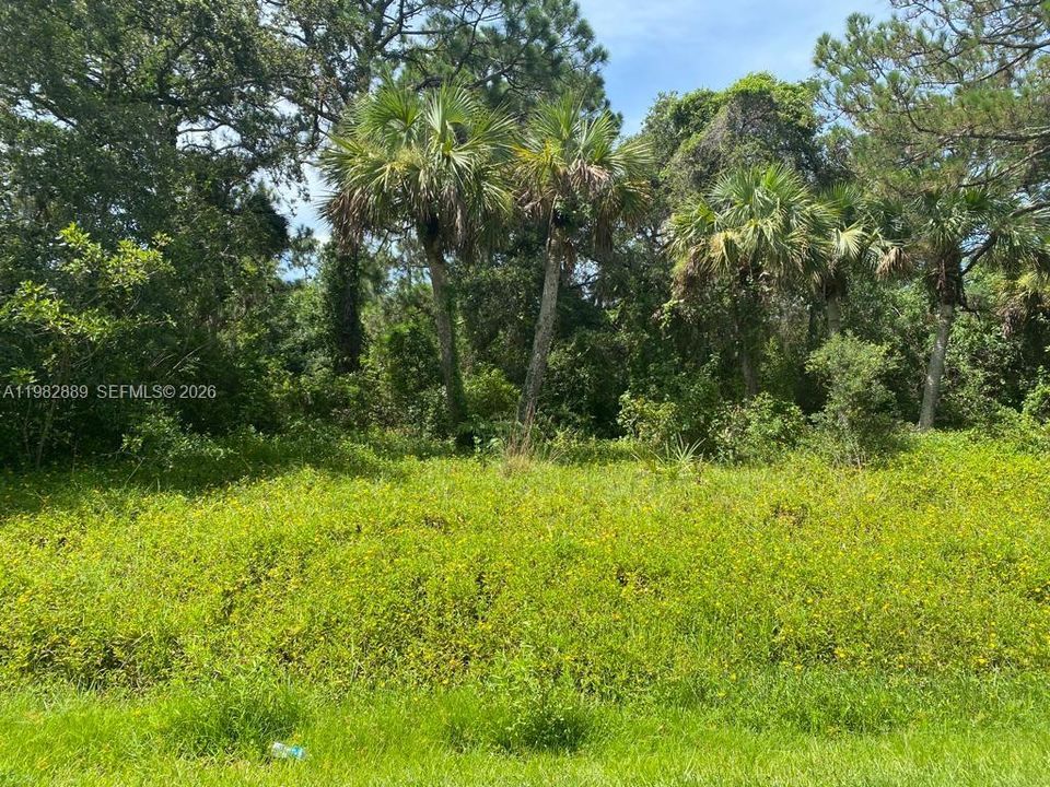 Недавно продано: $58,500 (0.27 acres)