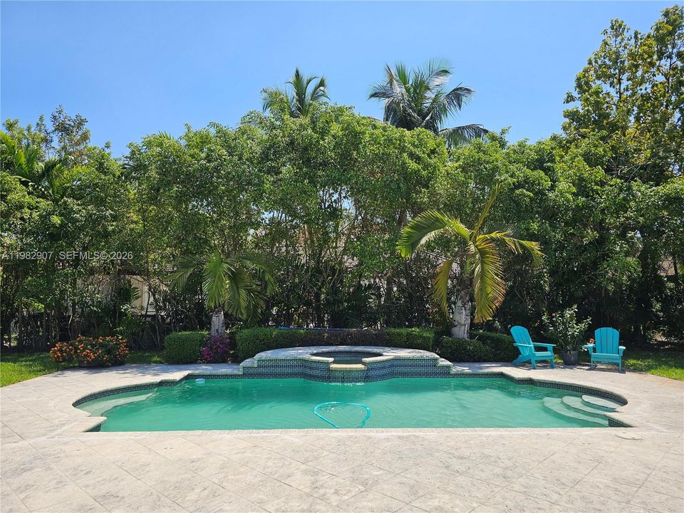 Pool and patio