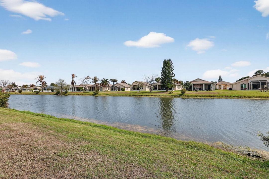36-web-or-mls-5P1A2746