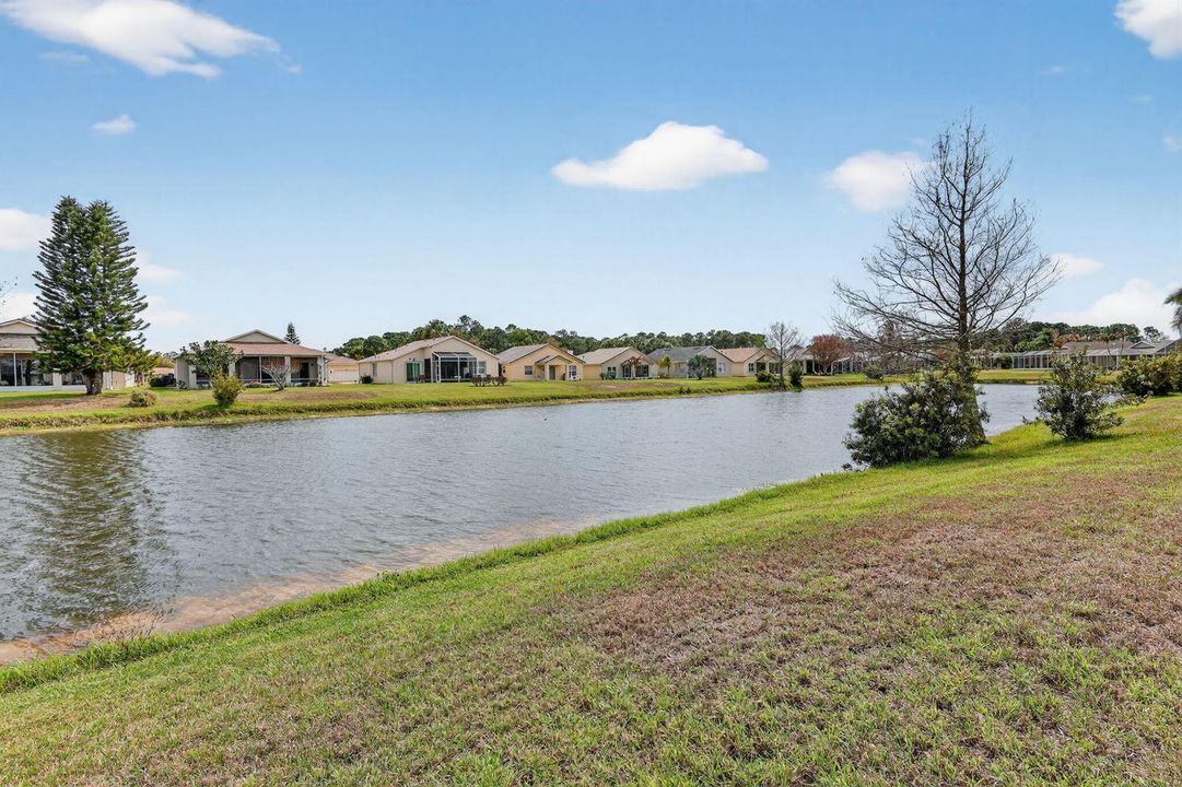 38-web-or-mls-5P1A2755